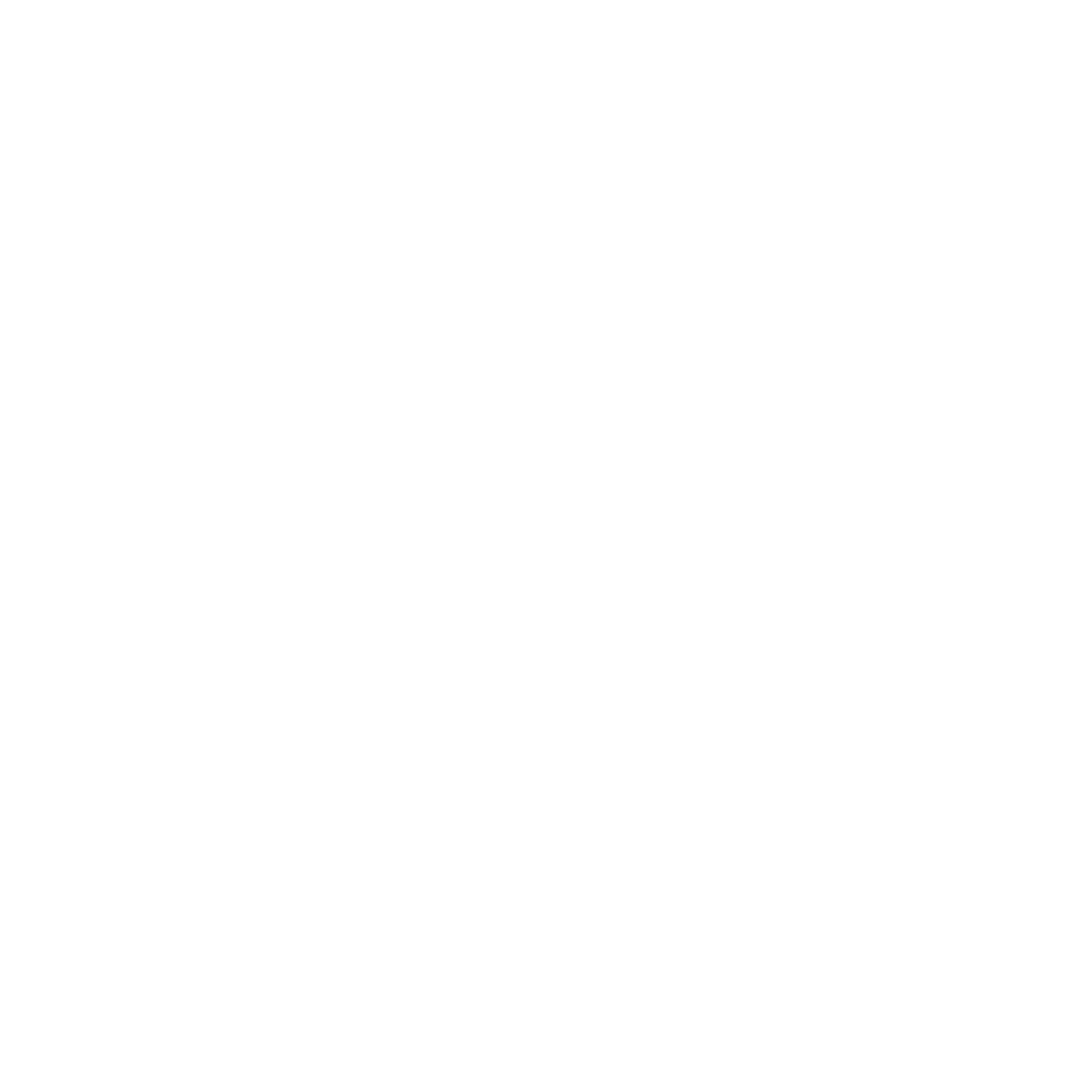 CyberLarry